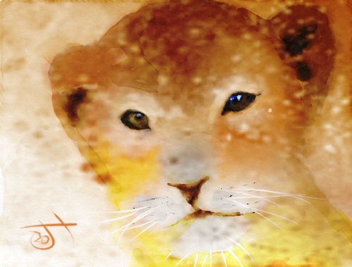 Name:  Lion cub.jpg
Views: 3793
Size:  29.8 KB