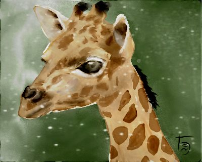 Name:  GiraffeAR.jpg
Views: 9047
Size:  26.6 KB
