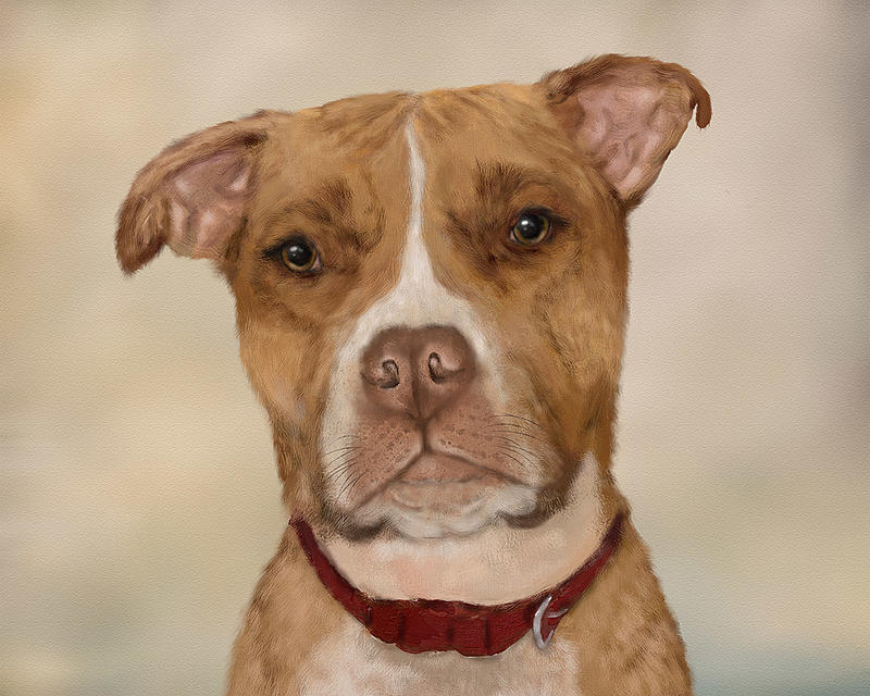 Click image for larger version. 

Name:	staffie final painting on cream background, AR.jpg 
Views:	193 
Size:	348.6 KB 
ID:	100528