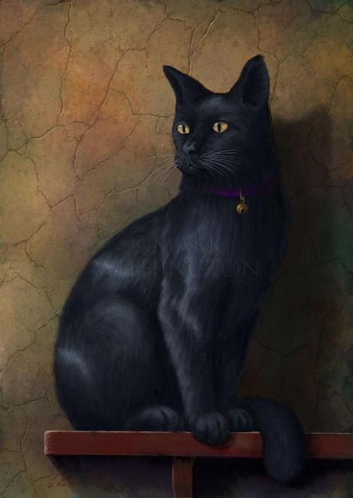 Name:  Black Cat.jpg
Views: 2044
Size:  34.7 KB