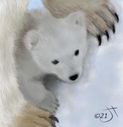 Name:  Polar bear cubAR.jpg
Views: 2625
Size:  94.6 KB