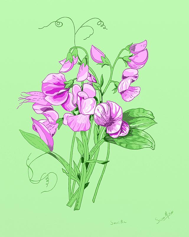 Click image for larger version. 

Name:	Sweet Pea 8  x 10.jpg 
Views:	357 
Size:	214.9 KB 
ID:	100988