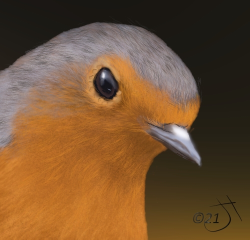 Name:  orange birdAR.jpg
Views: 152
Size:  127.7 KB
