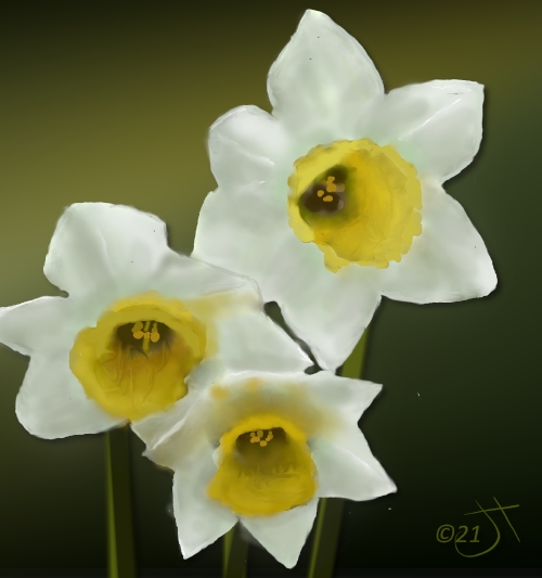 Name:  daffodilsAR.jpg
Views: 1894
Size:  108.5 KB
