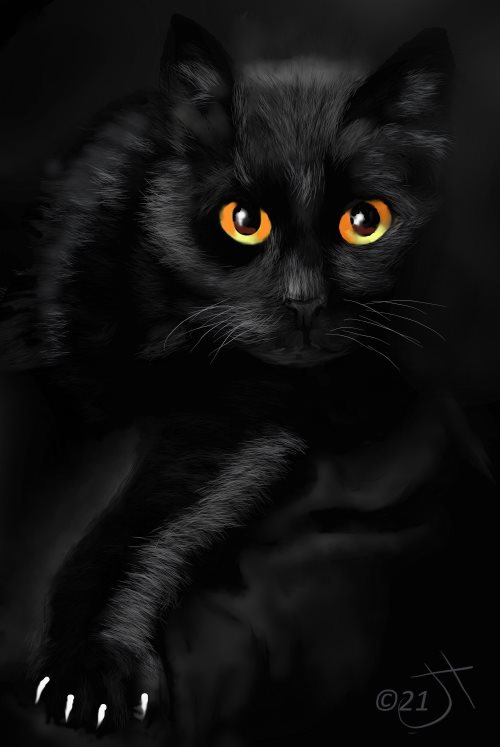 Name:  Black Cat #1AR.jpg
Views: 374
Size:  34.7 KB