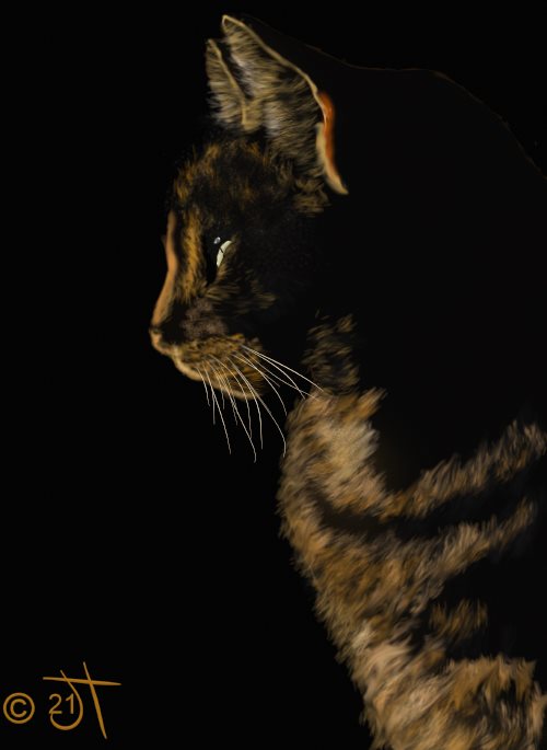 Name:  Cat ProfileAR.jpg
Views: 139
Size:  31.2 KB