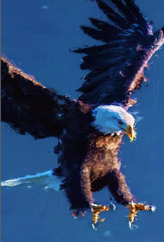 Click image for larger version. 

Name:	Eagle Yikes.jpg 
Views:	62 
Size:	41.9 KB 
ID:	102835