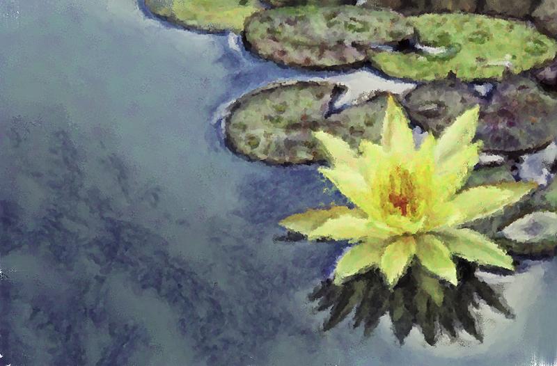 Click image for larger version. 

Name:	Water Lilies.jpg 
Views:	76 
Size:	257.2 KB 
ID:	102895
