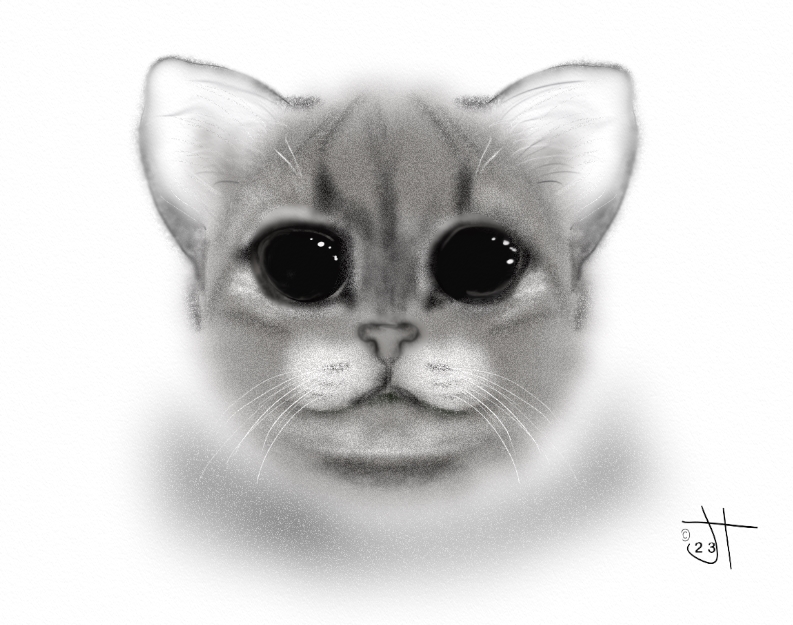 Name:  Pencilled kittenAR-.jpg
Views: 272
Size:  269.8 KB