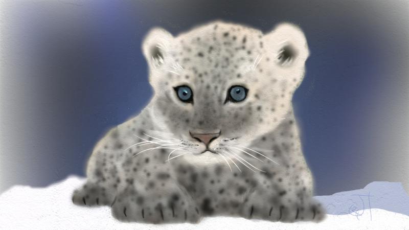 Click image for larger version. 

Name:	Baby Snow Leopard..jpg 
Views:	24 
Size:	76.5 KB 
ID:	103394