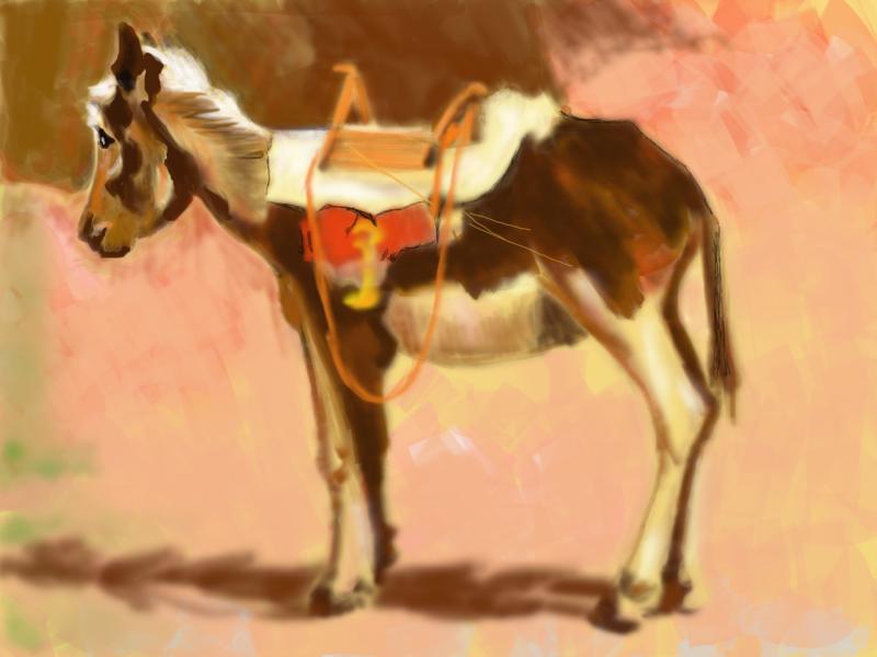 Click image for larger version. 

Name:	Ho  Ho   Ho    Donkey.jpg 
Views:	156 
Size:	67.9 KB 
ID:	74358