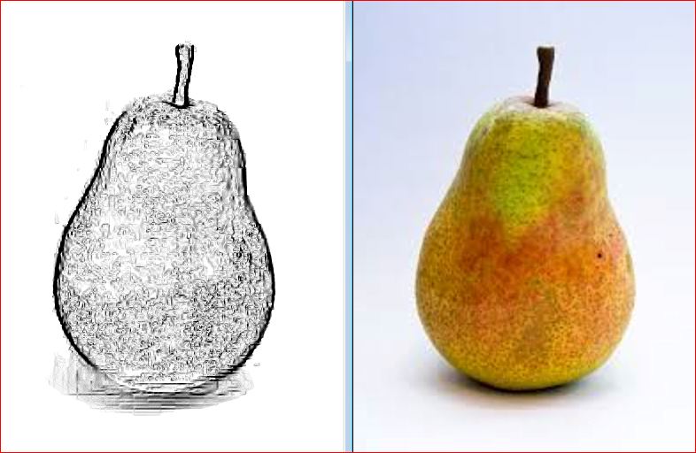 Name:  pear.JPG
Views: 2426
Size:  64.6 KB