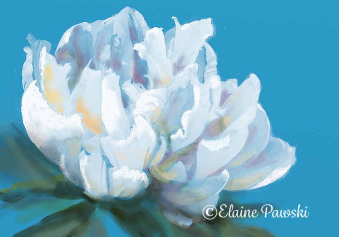 Name:  Peonie from stencil.jpeg
Views: 2151
Size:  237.0 KB