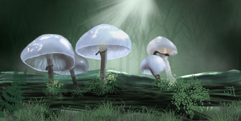 Name:  Mushroom Fantasy-th.jpg
Views: 2536
Size:  216.6 KB