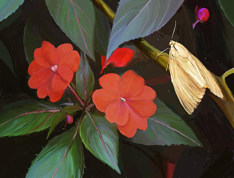 Click image for larger version. 

Name:	Red Flowers, Golden Moth.jpg 
Views:	288 
Size:	239.6 KB 
ID:	90814