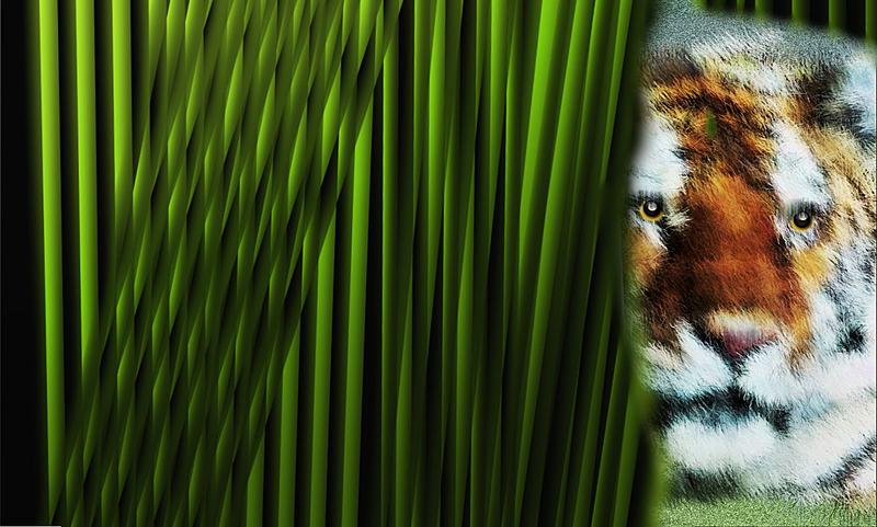 Click image for larger version. 

Name:	tiger in the bamboo.jpg 
Views:	196 
Size:	241.5 KB 
ID:	90836