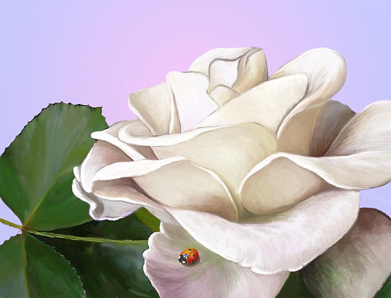 Click image for larger version. 

Name:	Lilac Rose, LadyBug (2k).jpg 
Views:	243 
Size:	251.8 KB 
ID:	91010