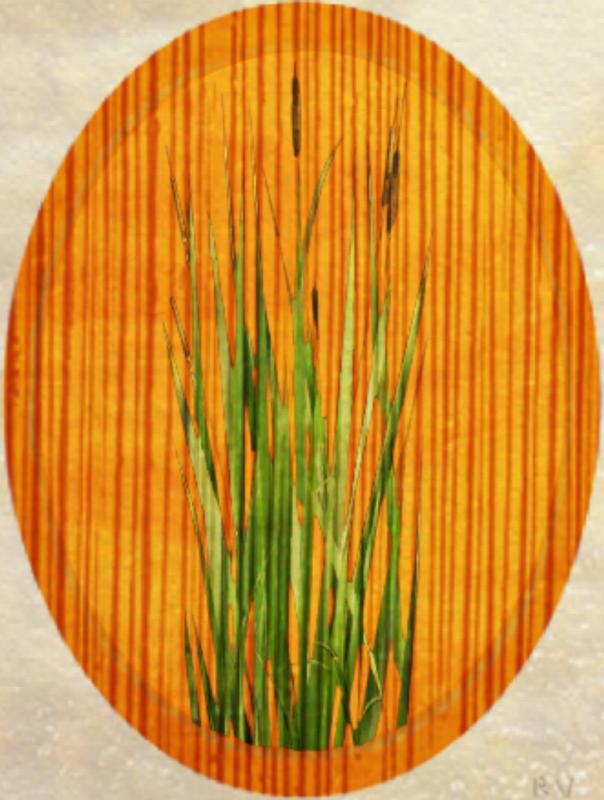 Click image for larger version. 

Name:	Wateplant on wood.jpg 
Views:	221 
Size:	88.9 KB 
ID:	91703