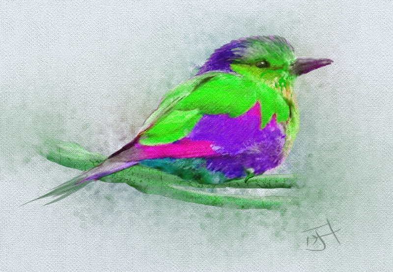 Name:  colourful bird.jpg
Views: 124
Size:  456.3 KB