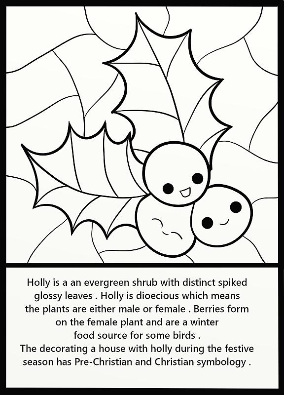 Click image for larger version. 

Name:	Holly line art.jpg 
Views:	203 
Size:	216.6 KB 
ID:	94344