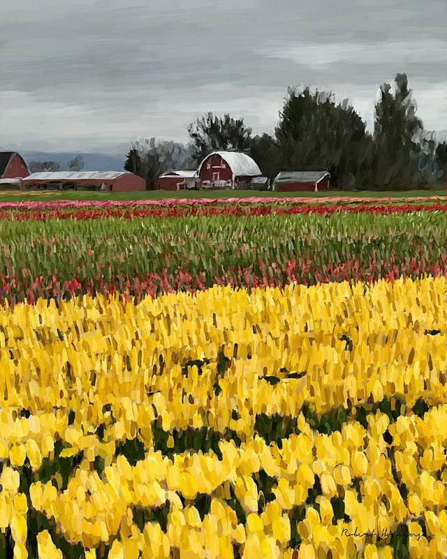 Click image for larger version. 

Name:	Tulip Farm 2.jpg 
Views:	158 
Size:	413.0 KB 
ID:	95099