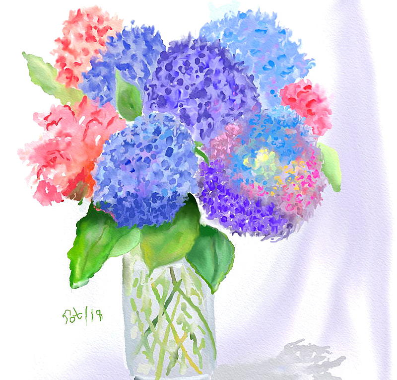 Click image for larger version. 

Name:	Hydrangeas 2.jpg 
Views:	217 
Size:	192.4 KB 
ID:	95353