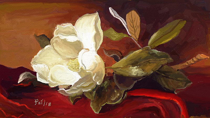 Click image for larger version. 

Name:	Magnolia (still life).jpg 
Views:	215 
Size:	228.7 KB 
ID:	95717