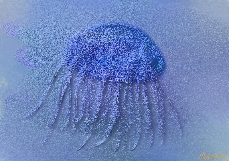Click image for larger version. 

Name:	Jellyfish_001.jpg 
Views:	171 
Size:	270.7 KB 
ID:	95742