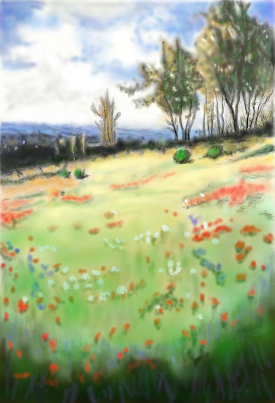 Click image for larger version. 

Name:	Flowers  in  the  Meadow    By    Peter   Hulsey     Starters   No 4  .jpg 
Views:	124 
Size:	76.7 KB 
ID:	96327