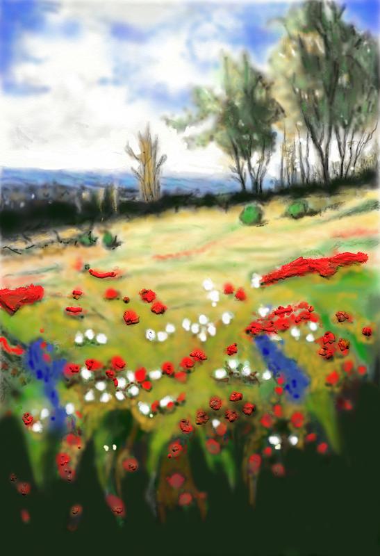 Click image for larger version. 

Name:	Flowers   in   the   Meadow    By    Peter    Hulsey      FINN   2     .jpg 
Views:	157 
Size:	89.0 KB 
ID:	96340