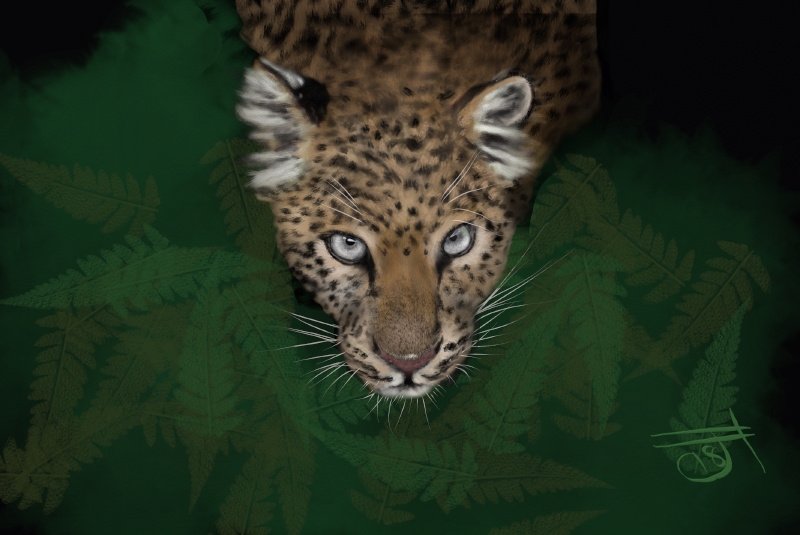 Name:  Leopard.jpg
Views: 299
Size:  251.3 KB