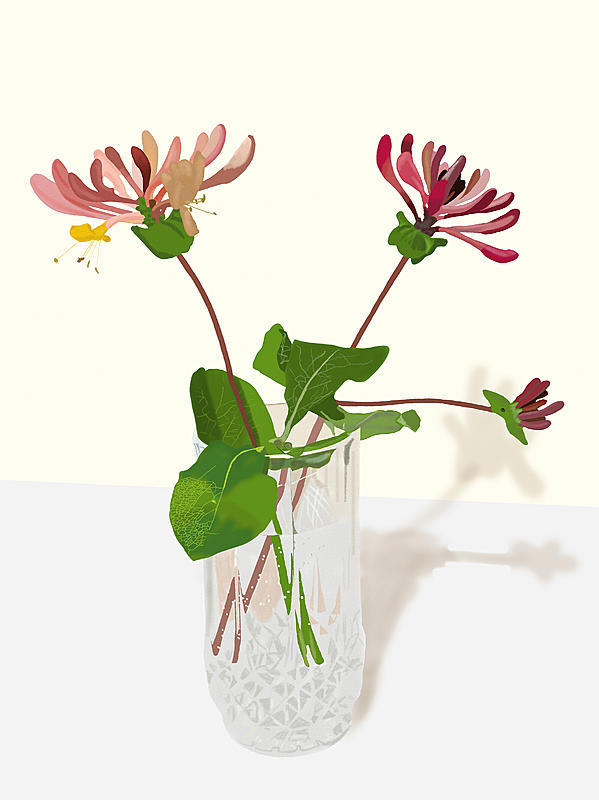Click image for larger version. 

Name:	Still life - honeysuckle in glass tumbler.jpg 
Views:	183 
Size:	173.4 KB 
ID:	98969