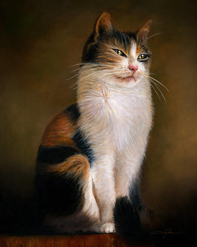 Click image for larger version. 

Name:	Portrait of a Cat_Small.jpg 
Views:	403 
Size:	116.9 KB 
ID:	99021
