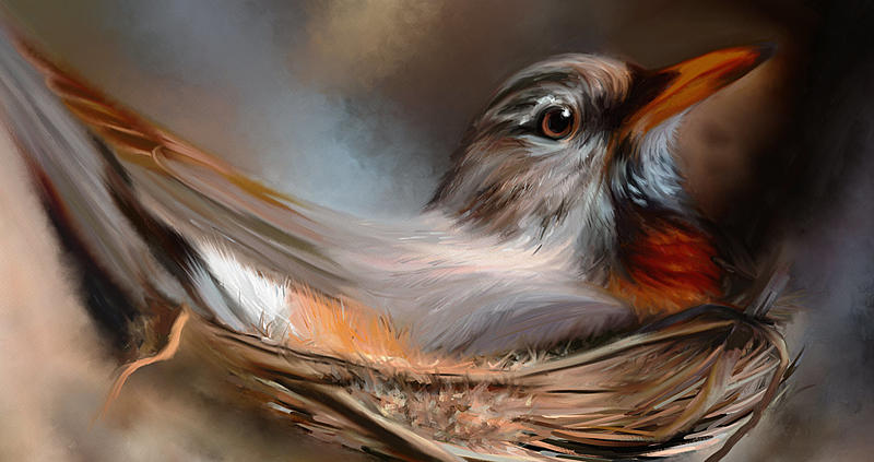 Click image for larger version. 

Name:	Robin in Spring_WIP_2.jpg 
Views:	361 
Size:	210.9 KB 
ID:	99040