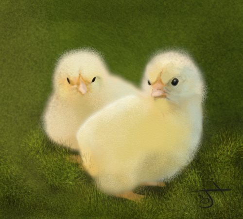Name:  Ducklings.jpg
Views: 1117
Size:  35.0 KB