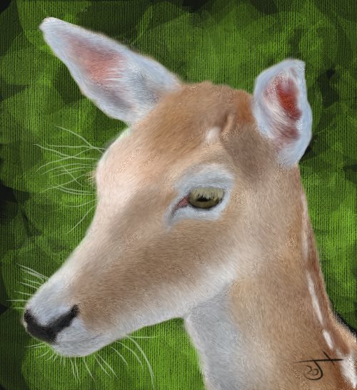 Name:  Deer.jpg
Views: 1004
Size:  66.8 KB