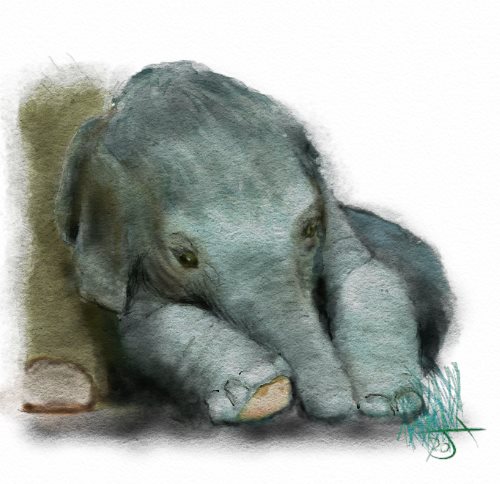 Name:  Baby elephanart.jpg
Views: 5586
Size:  43.4 KB