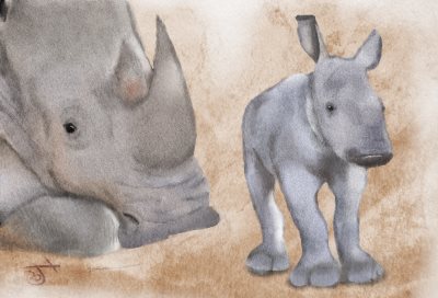 Name:  White Rhino moher and babyAR.jpg
Views: 2495
Size:  22.8 KB