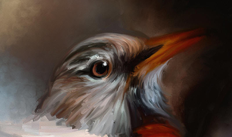 Click image for larger version. 

Name:	Spring Robin_AR_Dale Jackson_WIP_1.jpg 
Views:	332 
Size:	209.5 KB 
ID:	99020