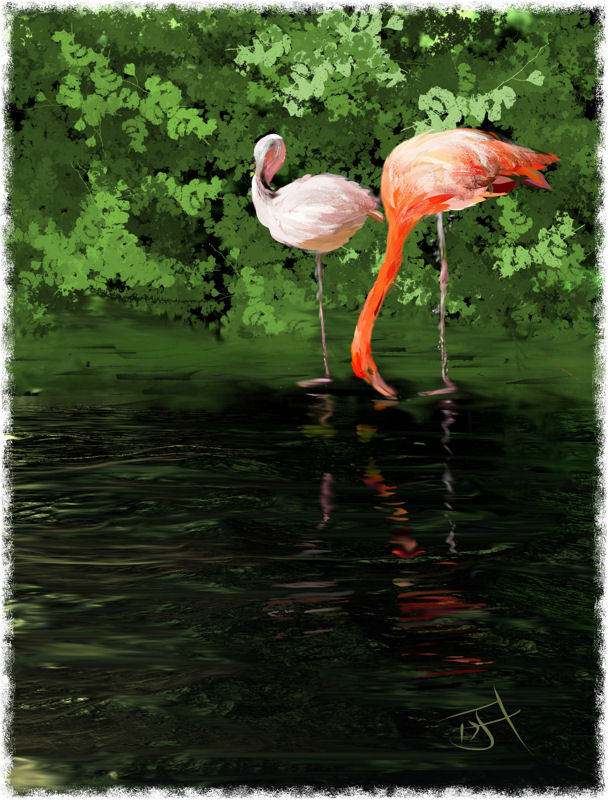 Name:  Flamingos.jpg
Views: 268
Size:  124.2 KB