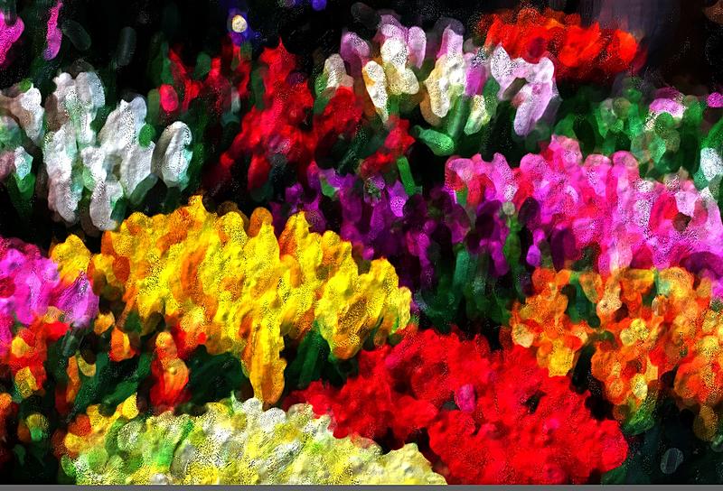 Click image for larger version. 

Name:	Profusion Of Flowers.jpg 
Views:	80 
Size:	479.3 KB 
ID:	102847