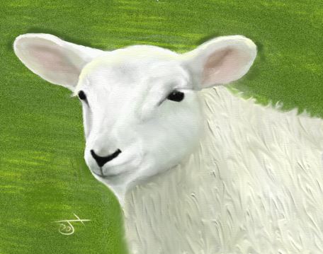 Name:  sheepsnip2.JPG
Views: 1045
Size:  35.4 KB
