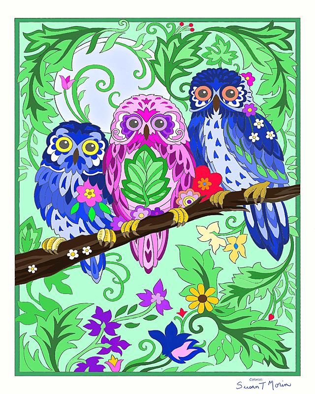 Click image for larger version. 

Name:	Family of owls.jpg 
Views:	41 
Size:	496.1 KB 
ID:	102238