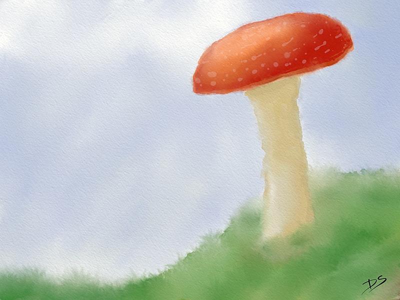 Click image for larger version. 

Name:	Fly Agaric Mushroom.jpg 
Views:	159 
Size:	140.7 KB 
ID:	100136