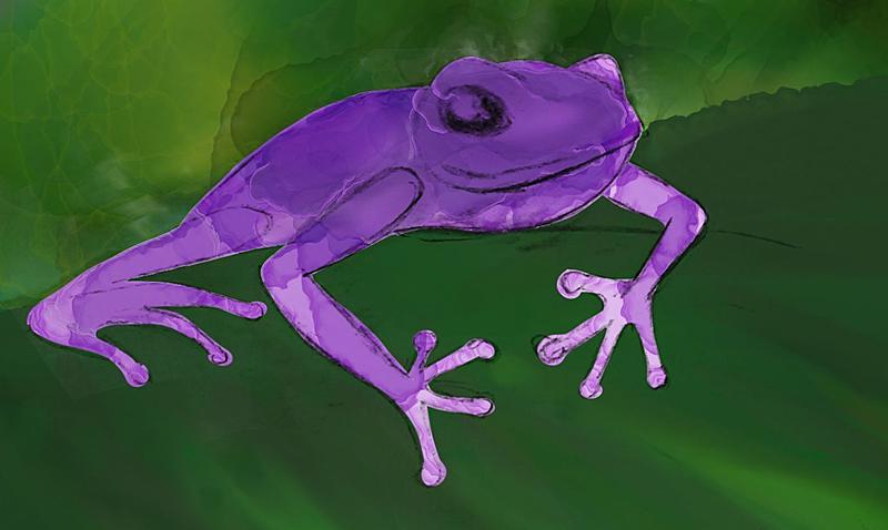 Click image for larger version. 

Name:	Tree frog pencil close.jpg 
Views:	195 
Size:	86.0 KB 
ID:	93346