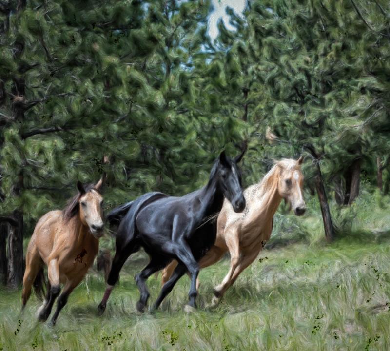 Click image for larger version. 

Name:	Horses running.jpg 
Views:	63 
Size:	138.7 KB 
ID:	102849
