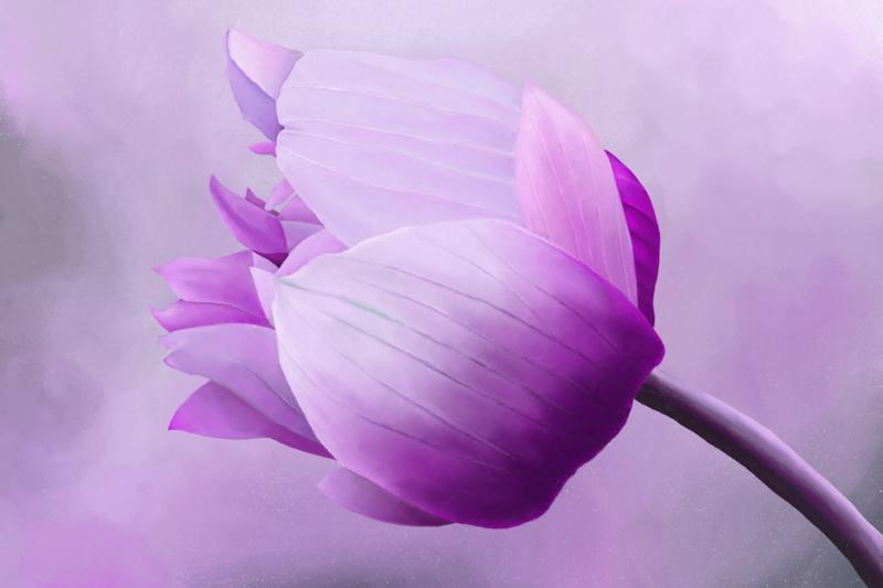 Click image for larger version. 

Name:	Anemone-ArtRage.jpg 
Views:	171 
Size:	69.8 KB 
ID:	97548