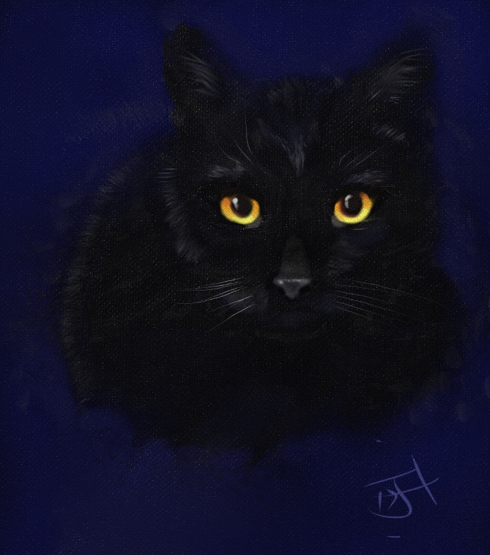 Name:  Black cat orange eyes.jpg
Views: 1178
Size:  387.2 KB