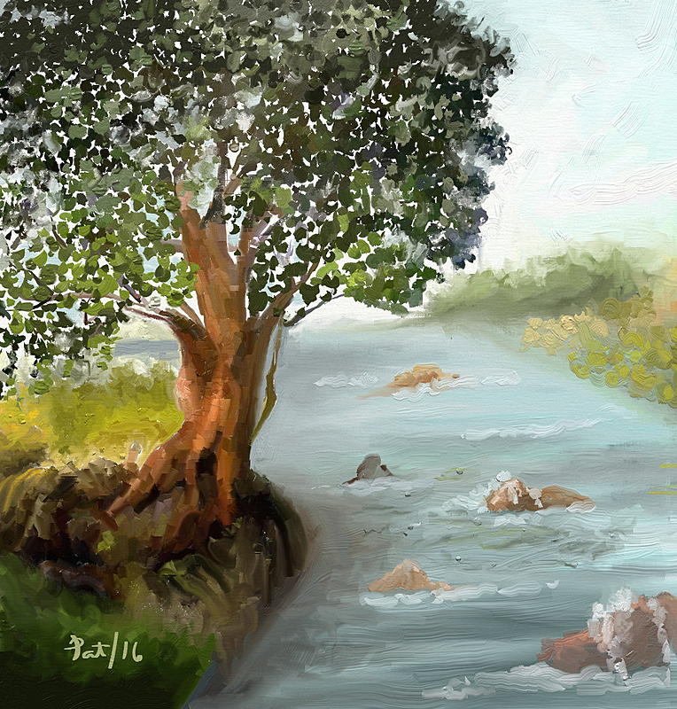 Click image for larger version. 

Name:	Tree on the River.jpg 
Views:	220 
Size:	307.0 KB 
ID:	90088
