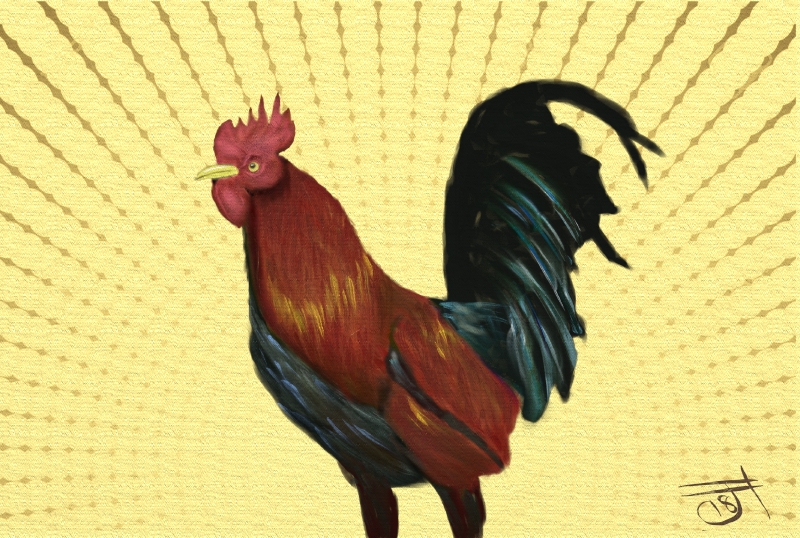 Name:  Rooster.jpg
Views: 270
Size:  420.8 KB